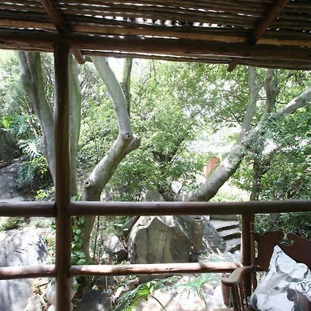 Little Forest Guest House Johannesburg Exterior foto